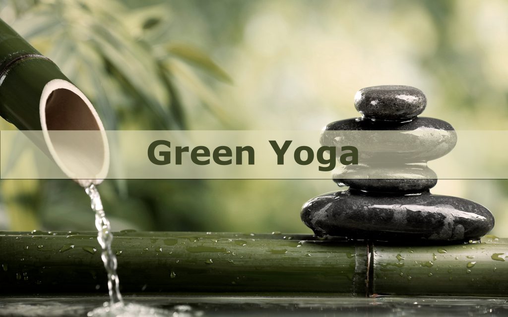 Green Yoga - Yoga Holistique - Cours de yoga