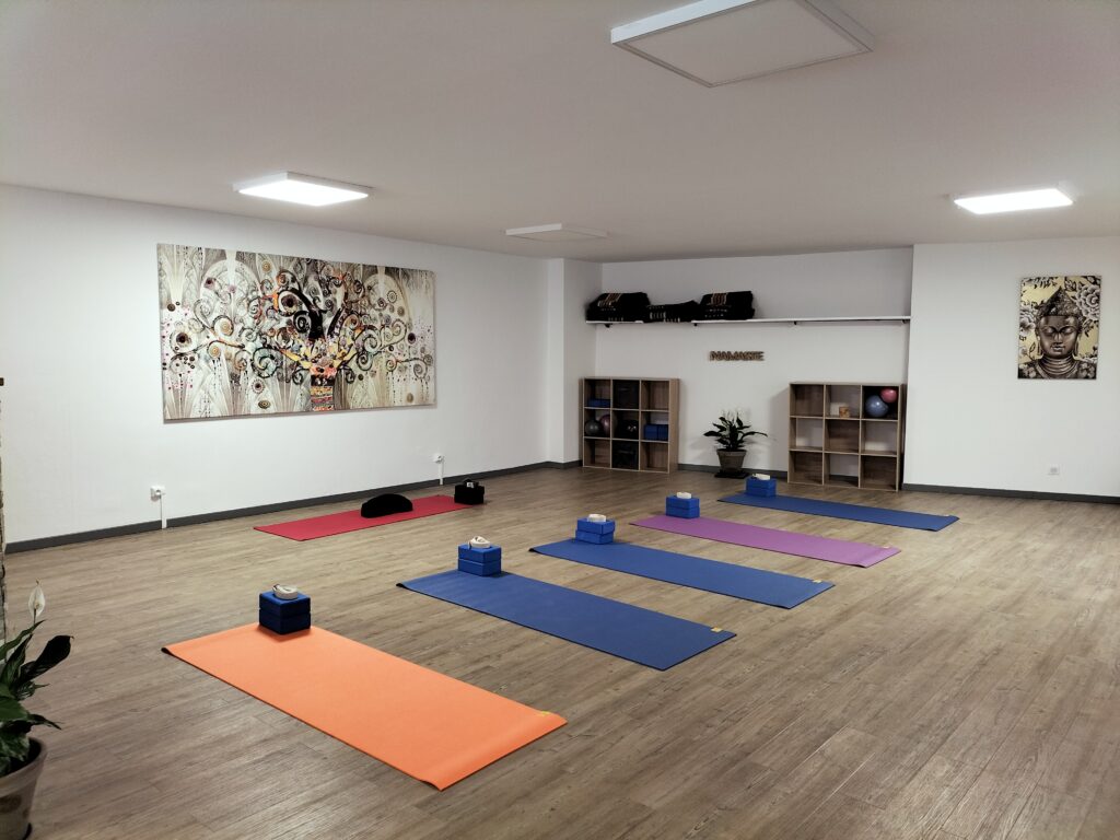 studio - yoga - albi - hatha yoga - touts niveaux