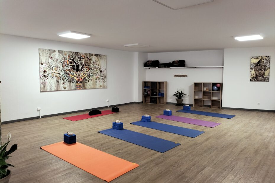 studio - yoga - albi - hatha yoga - touts niveaux