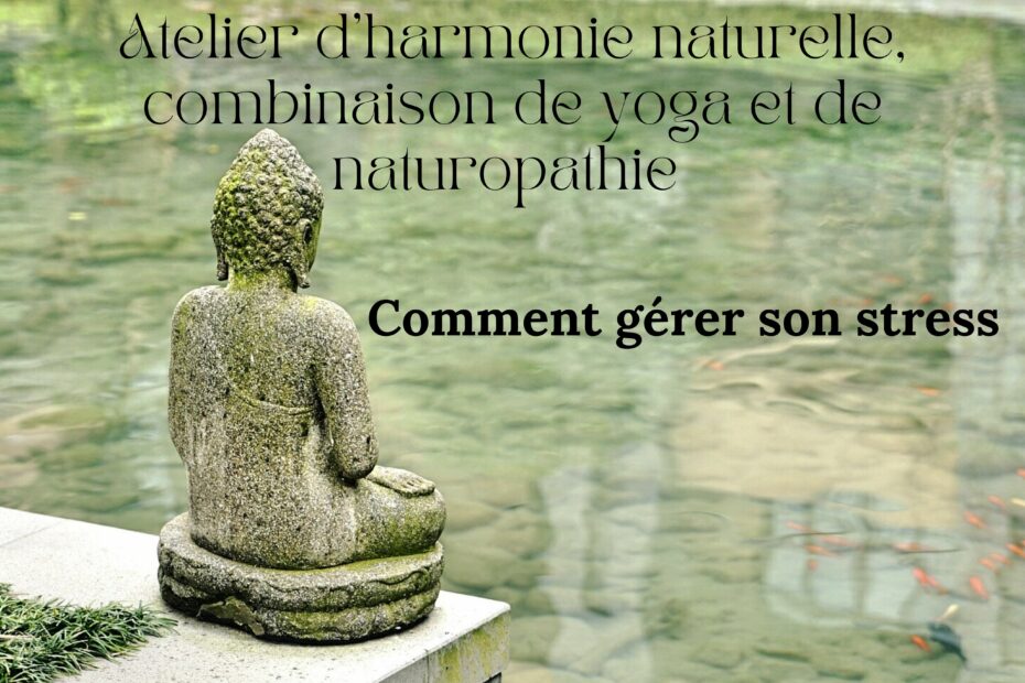 atelier yoga - union yoga et naturopathie -workshop