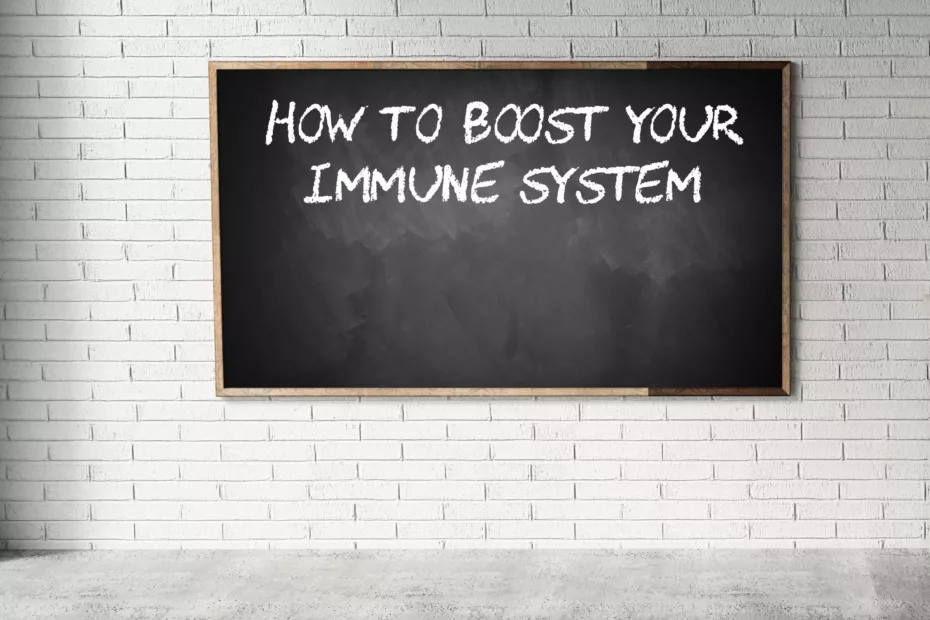 immunité - système immunitaire - yoga - atelier - albi -stufio