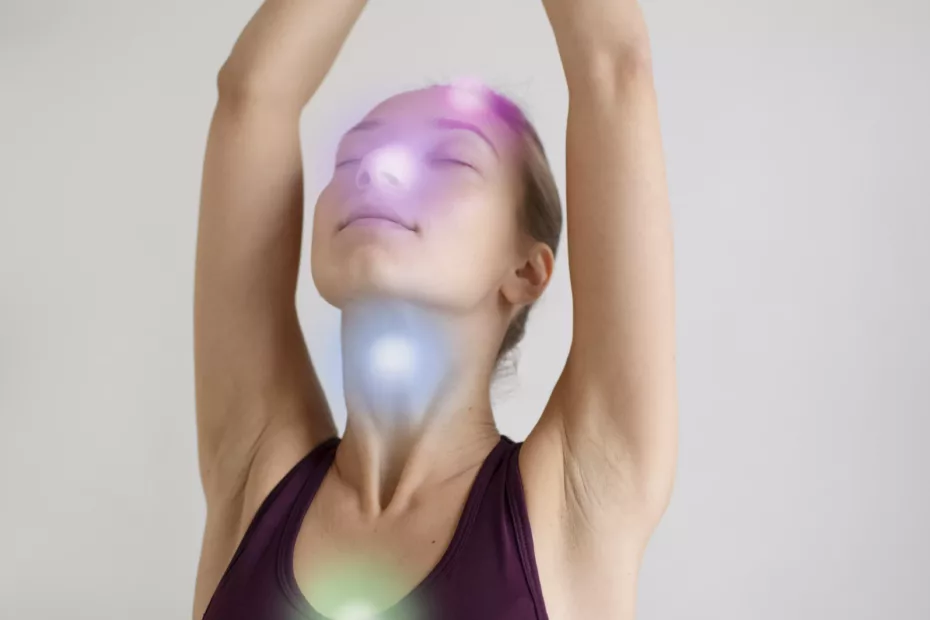 système immunitaire - yoga - chakra- alignés- albi- studio de yoga