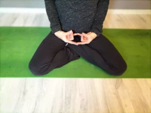 pranidhana mudra -lacher prise - mudra - yoga des mains